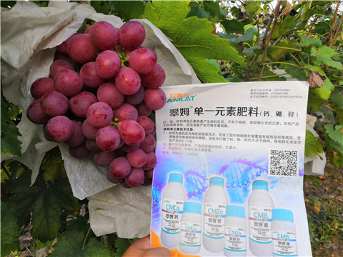 水溶肥，鈣肥，硼肥