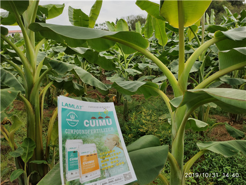 葉面肥，微生物菌劑，硼肥，水溶肥