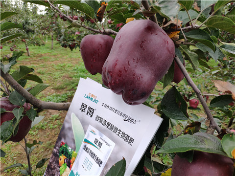 微生物菌劑，