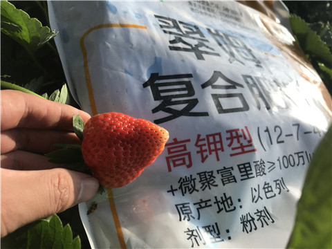 水溶，拉姆拉，翠姆