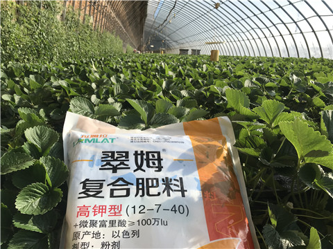 水溶，拉姆拉，翠姆