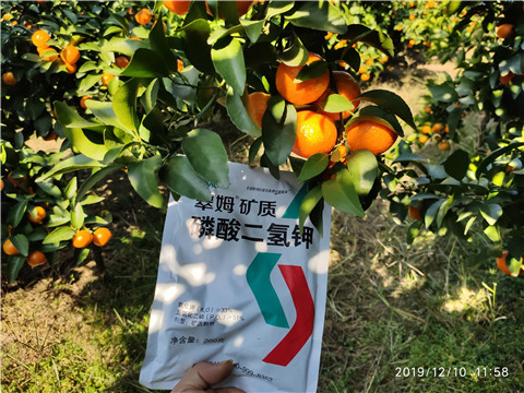 水溶肥，磷酸二氫鉀