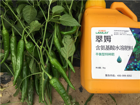 根碧多，微生物菌，葉面肥