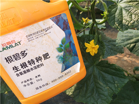 拉姆拉，根碧多，微生物菌劑