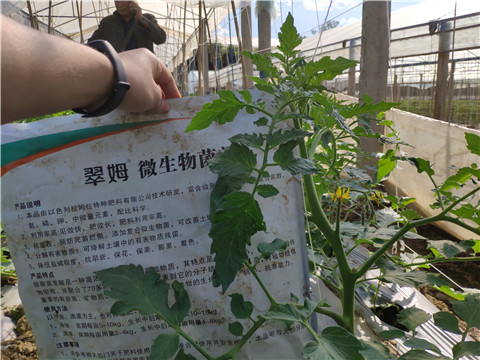 微生物菌劑 ，拉姆拉翠姆