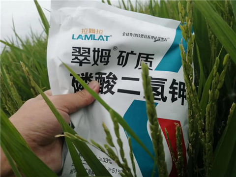 農(nóng)資經(jīng)銷(xiāo)商，拉姆拉，磷酸二氫鉀