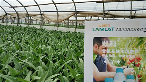 葉面肥，磷酸二氫鉀