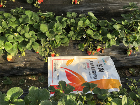 水溶肥，葉面肥，根碧多