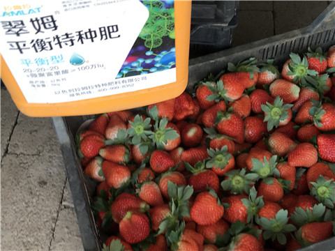 沖施肥，磷酸二氫鉀