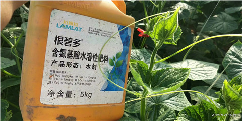 水溶肥，翠姆