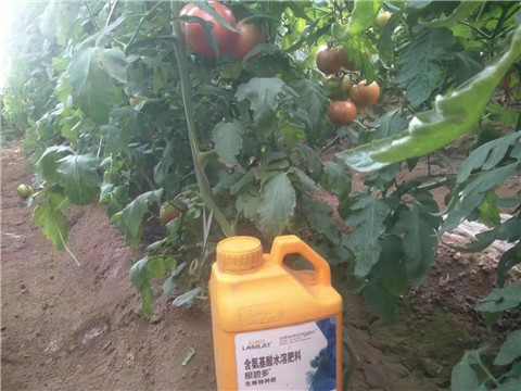 根碧多，微生物菌劑