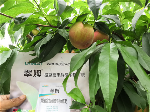 根碧多，微生物菌劑