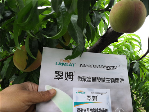 根碧多，微生物菌劑