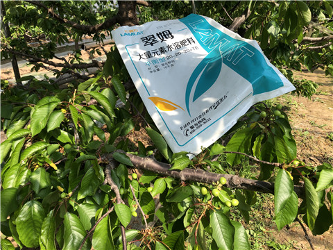 大量元素水溶肥，磷酸二氫鉀，硼肥