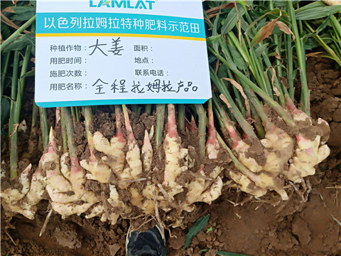 水溶肥，微生物菌劑，拉姆拉