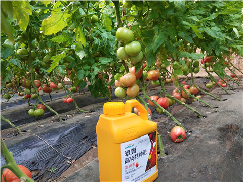 水溶肥，磷酸二氫鉀