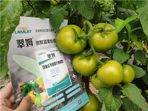 葉面肥，微生物菌劑，磷酸二氫鉀