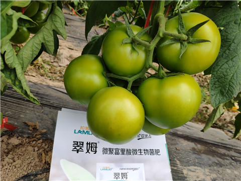 葉面肥，微生物菌劑，磷酸二氫鉀