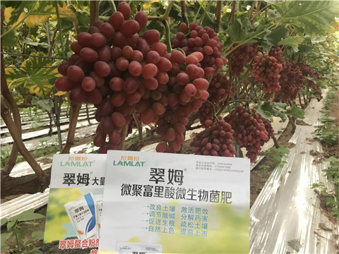 微生物菌劑，硼肥，鈣肥