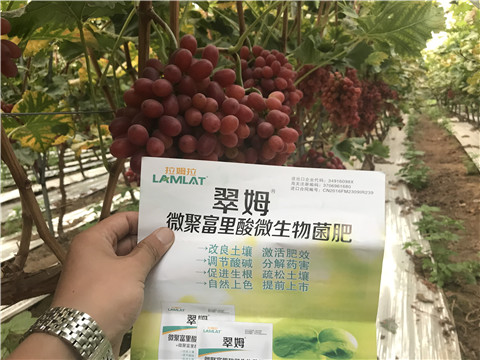 微生物菌劑，硼肥，鈣肥