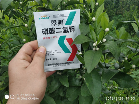 磷酸二氫鉀，硼肥，拉姆拉