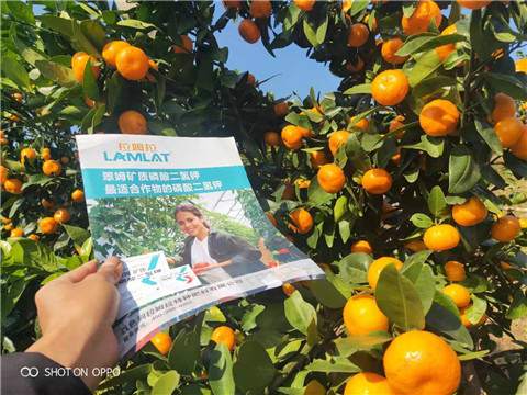 磷酸二氫鉀，硼肥，拉姆拉