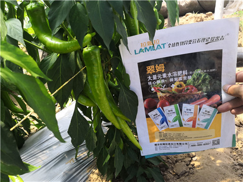 微生物菌劑，復(fù)合肥料，拉姆拉