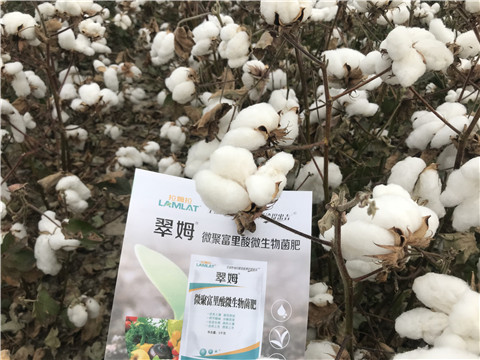 微生物菌劑，根碧多，拉姆拉