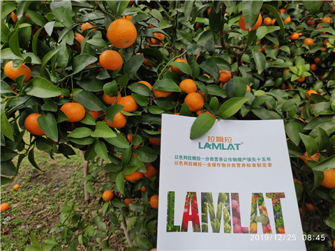 硼肥，拉姆拉