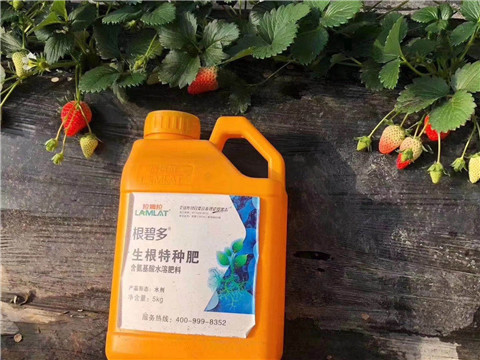 根碧多，微生物菌劑，拉姆拉