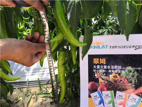 水溶肥，拉姆拉