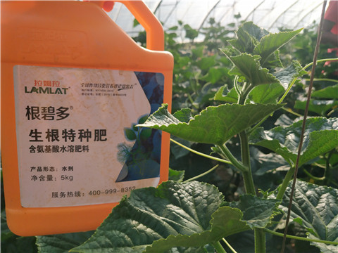 根碧多，磷酸二氫鉀，拉姆拉