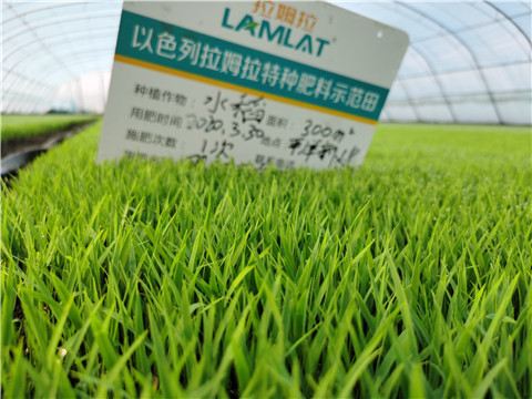 微生物菌劑，拉姆拉