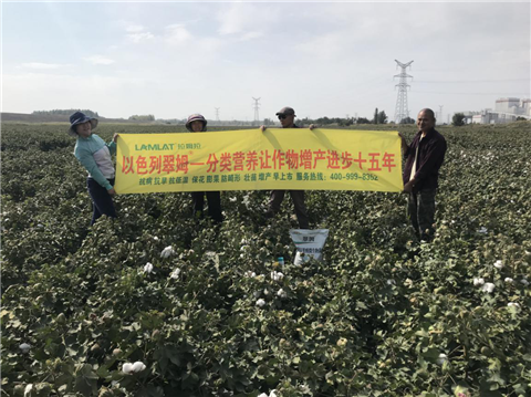 葉面肥，拉姆拉