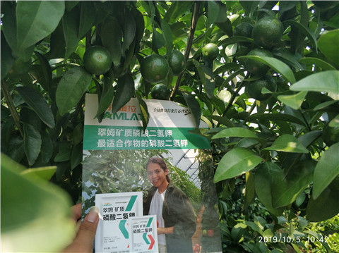 磷酸二氫鉀，拉姆拉