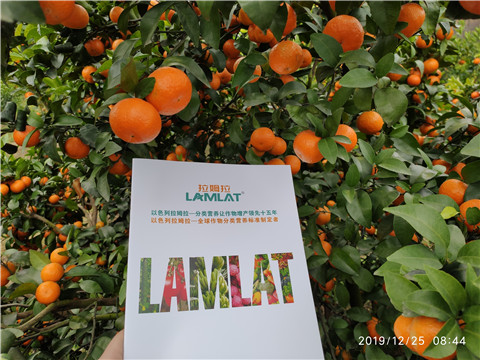 大量元素水溶肥，拉姆拉