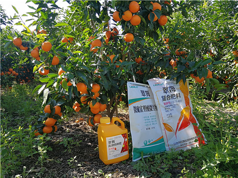 水溶肥，拉姆拉