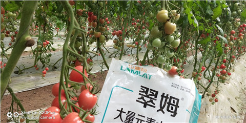 水溶肥，翠姆，拉姆拉