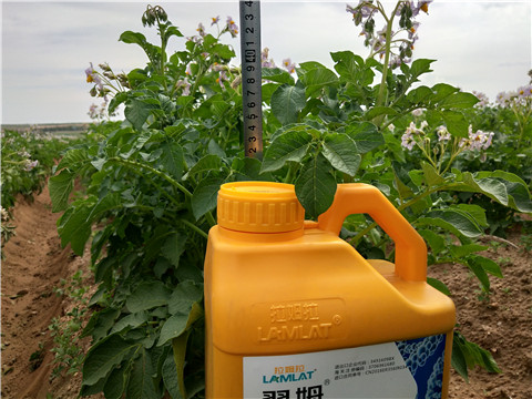 水溶肥，翠姆，拉姆拉
