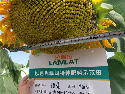 水溶肥，微生物菌劑，拉姆拉