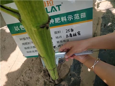 水溶肥，微生物菌劑，拉姆拉