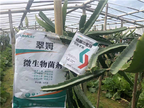 磷酸二氫鉀，翠姆，拉姆拉