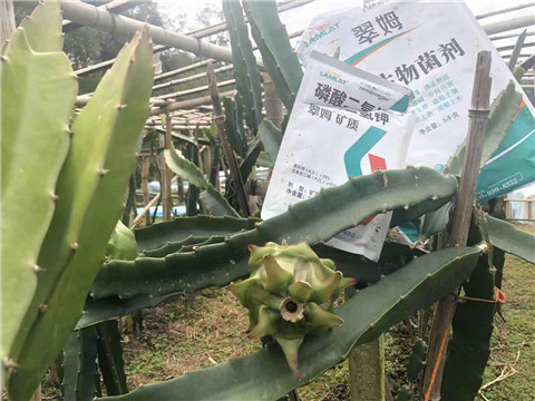 磷酸二氫鉀，翠姆，拉姆拉