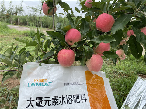 水溶肥，翠姆，拉姆拉