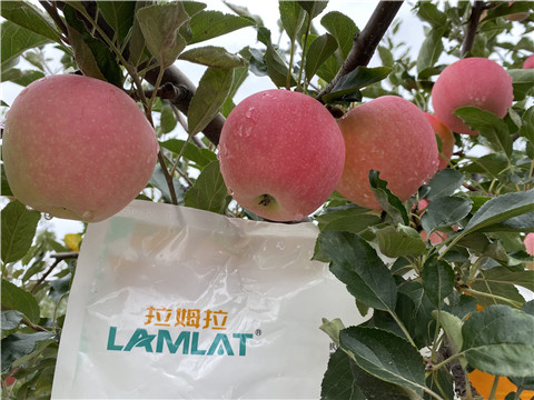 水溶肥，翠姆，拉姆拉