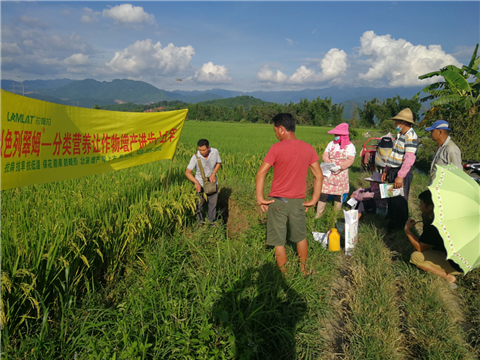 葉面肥，水稻灌漿肥，拉姆拉