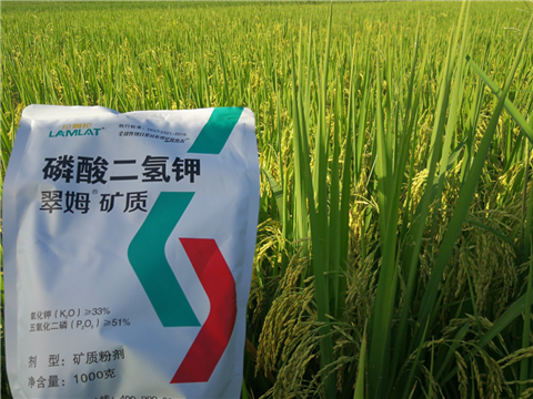 葉面肥，水稻灌漿肥，拉姆拉