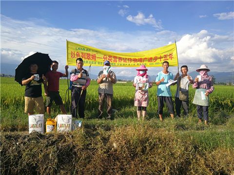 葉面肥，水稻灌漿肥，拉姆拉