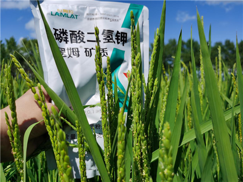 水溶肥，磷酸二氫鉀