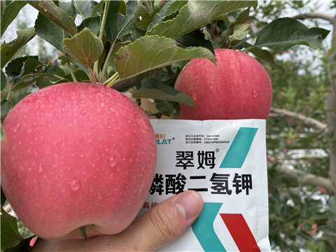 高鉀水溶肥，磷酸二氫鉀，拉姆拉，翠姆